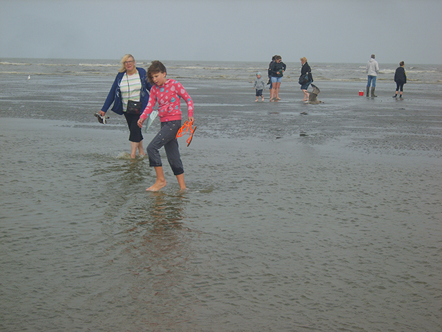 oostduinkerke 13